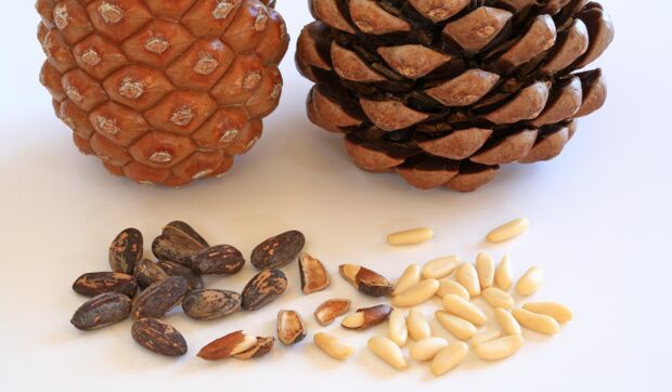 Pine nuts help strengthen erections and improve a man's mood. 